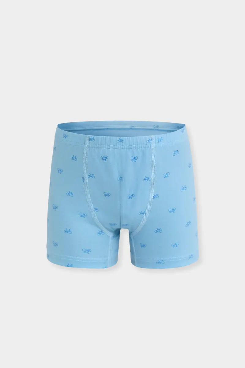 Berrak Berrak 5078 Erkek Çocuk 3'lü Boxer