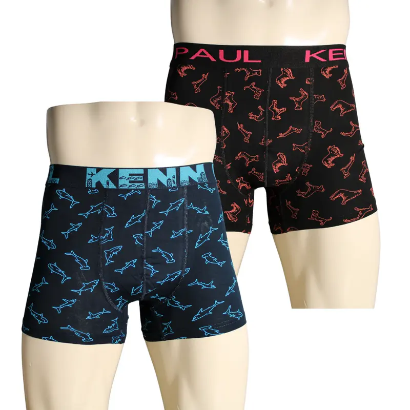 Kenn Paul 2'li Erkek Desenli Pamuklu Lüks Boxer Konfor