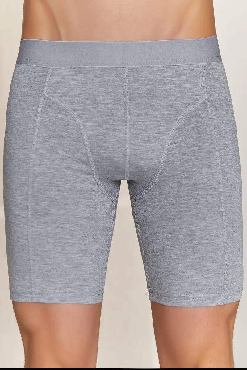 Berrak Berrak 1125 Erkek Uzun Boxer — Gri