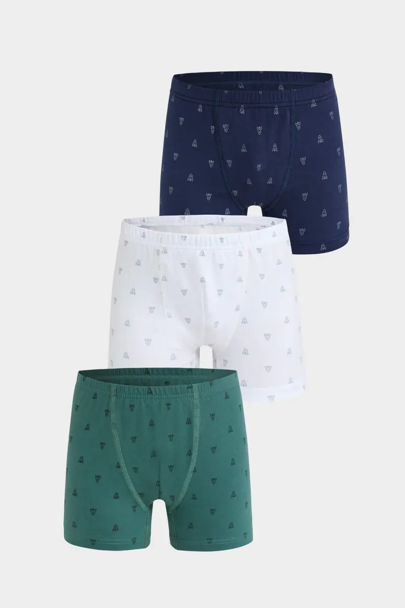 Berrak Berrak 5081 Erkek Çocuk 3'lü Boxer