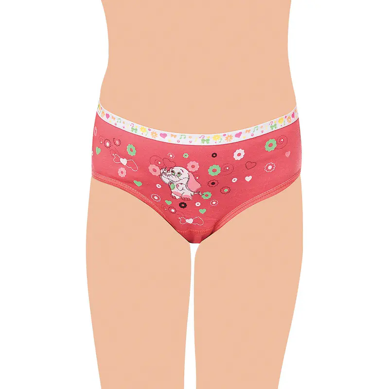 Tutku Tutku 0832 Elastan Kız Çocuk Önü Baskılı Slip Külot 12'li