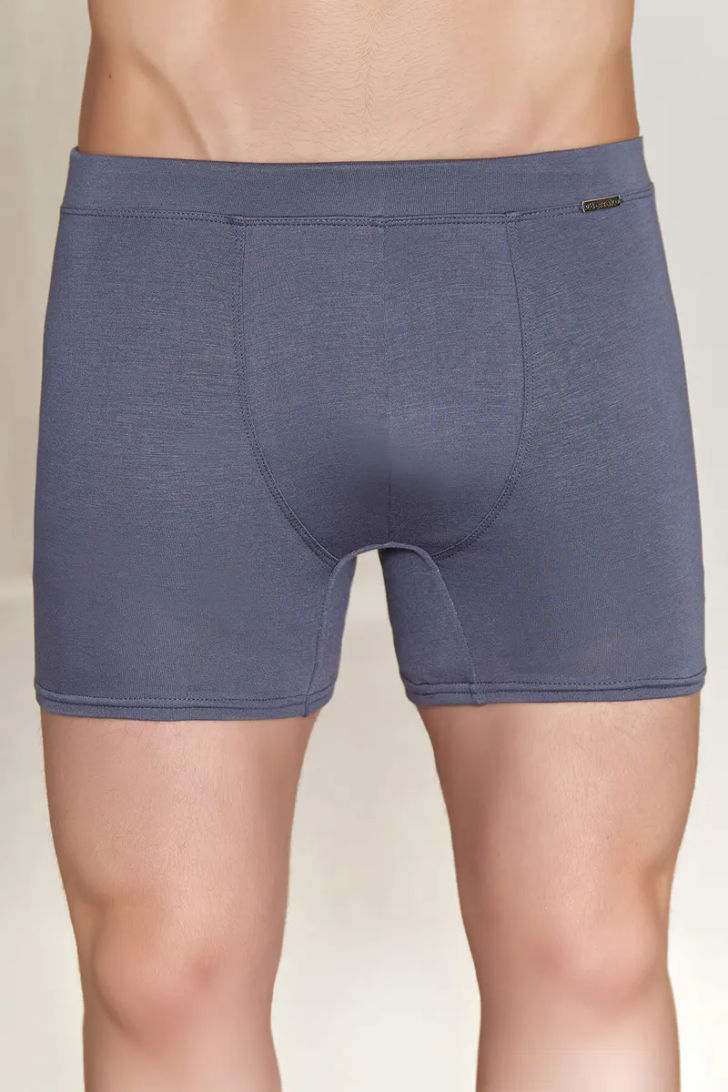 Berrak Berrak 4434 Erkek Micro Modal Boxer — Füme