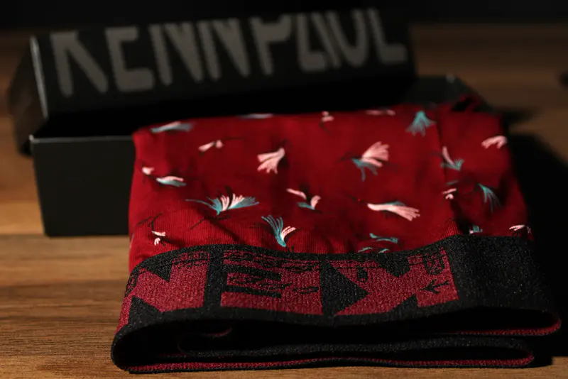 Kenn Paul 3XL–6XL Büyük Beden Desenli Pamuk Erkek Boxer